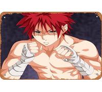 Shokugeki No Soma, Sōma Yukihira, Food Wars : Shokugeki No Soma Poster Décoration murale rétro en métal 20,3 x 30,5 cm