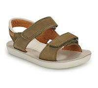 Shoo Pom Sandales enfant GOA BOY SCRATCH in Kaki 30