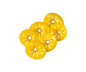 SHOP-STORY - Wasp Trap : Pack de 6 Pièges Écologiques DIY pour Guêpes, Frelons, Mouches et Insectes Volants Transformez Vos Bouteilles Plastiques en Pièges