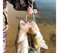 Shophubio Outil de verrouillage de poisson en acier inoxydable pour poissons vivants - Boucle de cravate de pêche avec mousqueton pour s'échapper, 8,5 x 2,9 cm Argent (lot de 1)