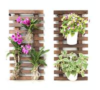 ShopLaLa Jardinière Murale - Jardinière Suspendue pour Plantes d'intérieur, Support de Plantes, Plantes Grasses, Support de Plantes Grasses, Jardin Vertical, Grande décoration Murale pour Salon,