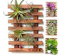 ShopLaLa Jardinière murale - Support en bois pour plantes succulentes d'intérieur et d'extérieur, orchidée vivante Cadre d'affichage vertical pour jardin, balcon, terrasse, salle de bain, Macetas para