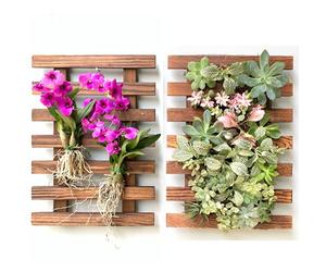 ShopLaLa Lot de 2 jardinières murales en Bois pour orchidées - Support Mural pour Plantes succulentes - Décoration Murale - Macetas Para Orquideas - 40 cm