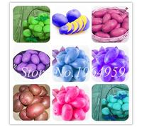 ShopMeeko GRAINES: 2018 Nouveau! Bonsai 100 Pcs patates douces Bonsai Fournitures non Ogm alimentaires légumes frais Bonsai Garden Bonsai Jardin Nourriture pour plantes verte: mixte