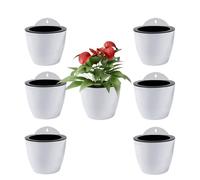 ShoppeWatch Jardinières Suspendues à Arrosage Automatique Lot de 7 | Deco Mural | Pot de Fleur Interieur, Exterieur | Decoration Murale Fenêtre | Blanc Plastique, Moyen, 13 cms, à, Crochets PL34
