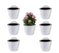 ShoppeWatch Jardinières Suspendues à Arrosage Automatique Lot de 7 | Deco Mural | Pot de Fleur Interieur, Exterieur | Decoration Murale Fenêtre | Blanc Plastique, Grande, 18 cms, à, Crochets PL35