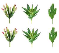 ShoppeWatch Plantes succulentes artificielles sans pot - Faux cactus réaliste pour decoration d'intérieur - Plante Artificielle Interieur - Faux tiges de mini cactus - Décoration à faire soi-même AF18