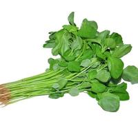 Shopvise Palak semences (25 par paquet)