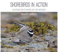 Shorebirds in Action: An Introduction to Waders and Their Behaviour
