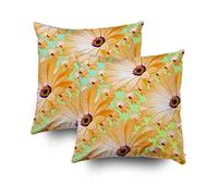 Shorping Fundas de Almohada Cortas con Cremallera, 40,64 x 40,64 cm, 2 Unidades de Fundas de cojín y Funda de Almohada Decorativa para sofá o Cama.