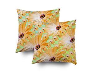 Shorping Fundas de Almohada Cortas con Cremallera, 40,64 x 40,64 cm, 2 Unidades de Fundas de cojín y Funda de Almohada Decorativa para sofá o Cama.