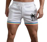Short 2025 pour homme - Short d'été pour homme - Couleur unie - Arc-en-ciel - Poche - Cordon de serrage - Décontracté - Sport - Course - Short droit - Plage Gay