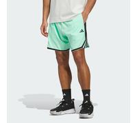 SHORT ADIDAS CRAZY LITE Pulse Mint XS 13 CM