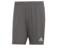 Adidas Homme Entrada 22 Shorts
