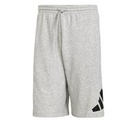 Adidas Essentials Big Logo French Terry Shorts Gris XL Homme