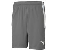 Short adulte Puma Teamliga 13