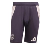 Short Arsenal Tiro 2024/25 Violet S Male