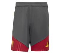 Short AS Roma Competition Tiro 2026/27 Gris M Male