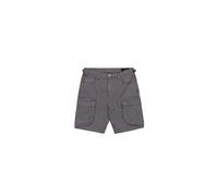 Alpha Industries Canvas Cargo Shorts Gris 36 Homme
