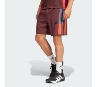 Short colorblock Train Essentials Seasonal Aurora Ruby S 18 CM