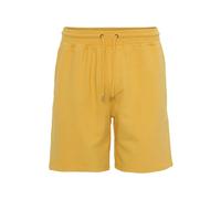 Short Colorful Standard Classic Organic burned yellow Jaune M