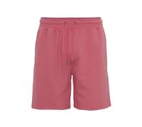 Short Colorful Standard Classic Organic raspberry pink Rose S
