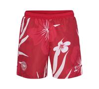 Short de bain Hummel DBU Fan 24 Multicolore XS