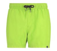 Short de bain Regatta Mawson III Vert 3XL