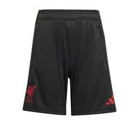 Short de compétition enfant Liverpool FC 2025/26 Noir 13/14 ans Unisex