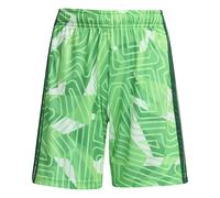 Short de gardien enfant adidas Competition Tiro 26 Vert 13/14 ans Unisex