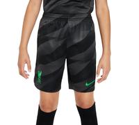 Short de gardien enfant Liverpool FC Stadium 2023/24 Gris 12/13 ans Unisex