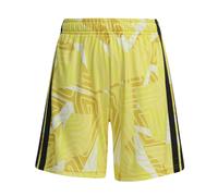 Short de gardien enfant Newcastle Competition Tiro 26 Jaune 13/14 ans Unisex