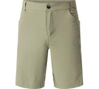 Short de marche Tuned In II Dare 2B pour hommes avec nombreuses poches RG4078 (58 FR) (Vert olive)