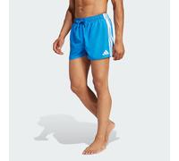 Short de natation à 3 bandes 20,3 cm Bright Royal / White XL