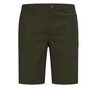 Odlo Ascent Light Shorts Vert 48 Homme