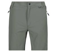 Regatta Mountain Ii Shorts Gris 42 Homme