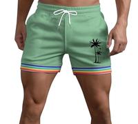 Short De Sport,Pantalon d'été pour Homme, Couleur Unie, Arc-en-Ciel, Poches, Cordon de Serrage, Ample, décontracté, Sport, Course, Short Droit, Pantalon de Plage