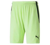 Short de Sport Vert Homme Puma Teamliga S