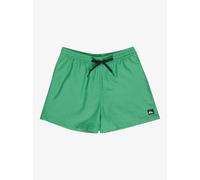 Short de surf Quiksilver Everyday Deluxe 15" Vert L