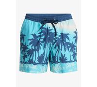 Short de surf Quiksilver Everyday Printed Volley 15 Bleu M