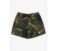 Quiksilver Short de Bain Everyday Printed Volley 15 Marron