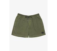 Quiksilver - Short de bain Everyday Surfwash Volley 15'' Vert Homme 2XL
