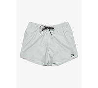 Quiksilver Short de Bain Everyday Volley 15 Homme Gris