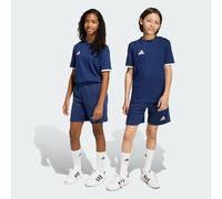 Adidas Short Entrada 26 Sweat