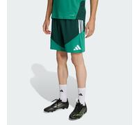 Short d'entraînement Algérie 26 Team Dark Green XL