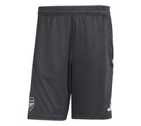 Short d'entraînement Arsenal EU 2025/26 Gris S Male