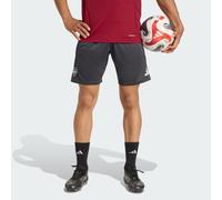 Short d'entraînement Arsenal Tiro25 Competition Grey / Team Coll Burgundy 2 S
