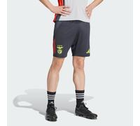 Short d'entraînement Benfica Tiro 24 Competition Night Grey / Semi Solar Red XS