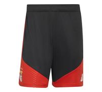 Short d'entraînement de compétition Benfica Lisbonne Tiro 2026/27 Noir M Male