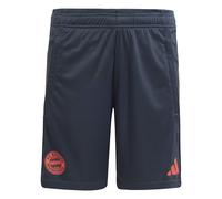 Short d'entraînement enfant Bayern Munich 2025/26 Gris 15/16 ans Unisex